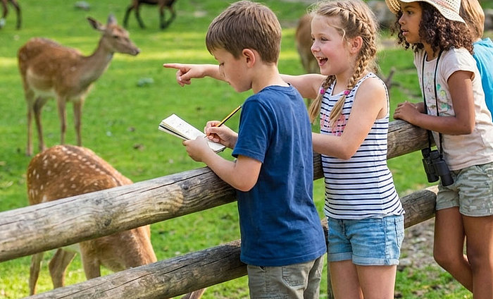 Abenteuer im Tiergarten