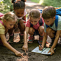 Geheimzeichen der Natur- Spurenleser